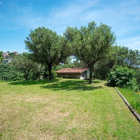 Zafferano - Origano * Celle Ligure